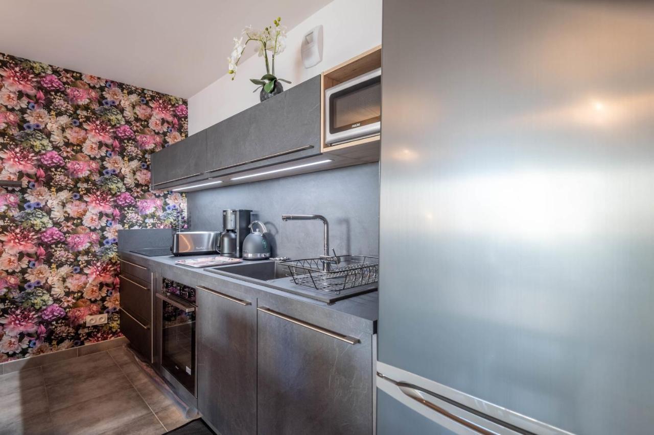 Vire Moulin Furnished Flat Apartment Annecy Bagian luar foto